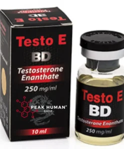 Black Dragon  Testo E Testosterone enanthate 250 mg/ml