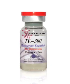 Global Anabolic  TE-300 Testosterone Enanthate 300 mg x 10 ml (Pre-Order)