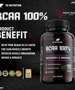 Alternative view of Ox Nutrition BCAA 2800mg MEGA 120caps