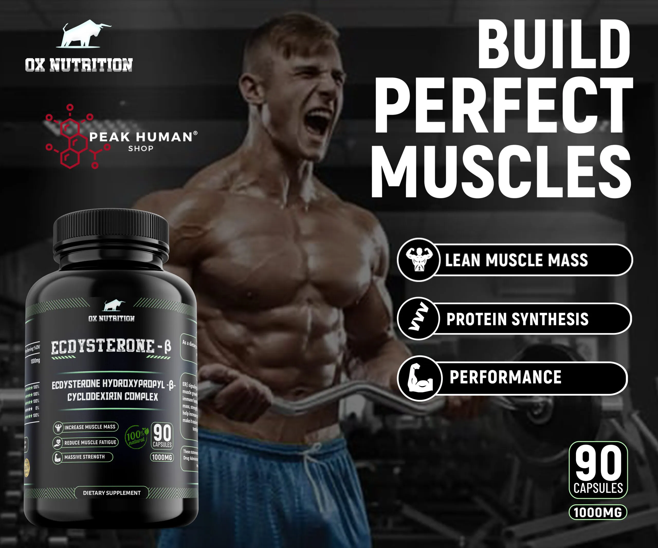Ox Nutrition Ecdysterone-β 1000mg 30 caps / 90 caps - Image 3