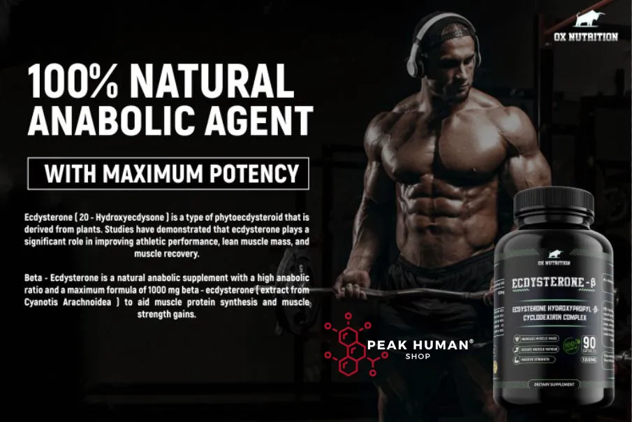 Ox Nutrition Ecdysterone-β 1000mg 30 caps / 90 caps - Image 4