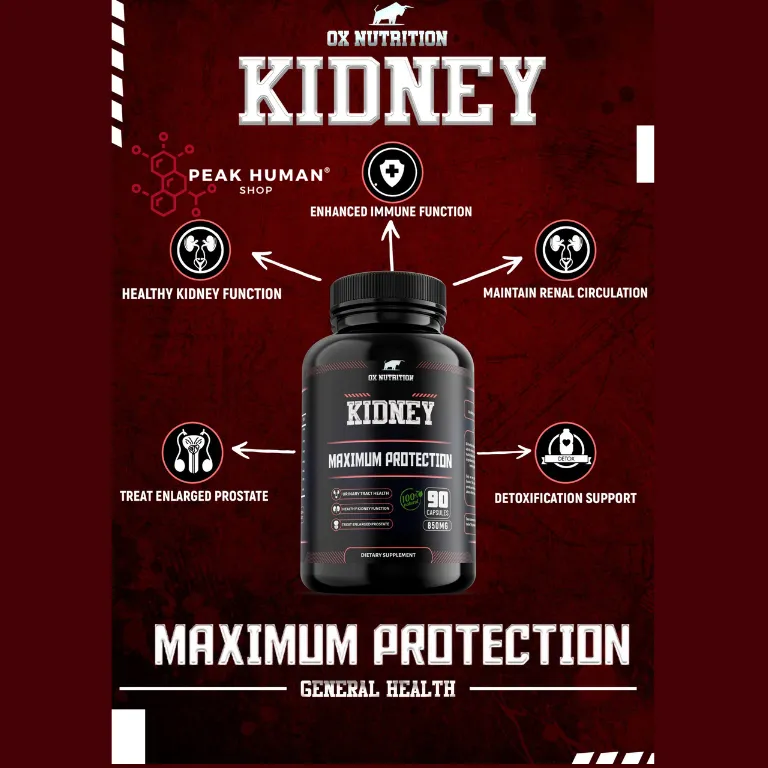 Ox Nutrition Kidney Maximum Protection 30caps / 90caps - Image 2