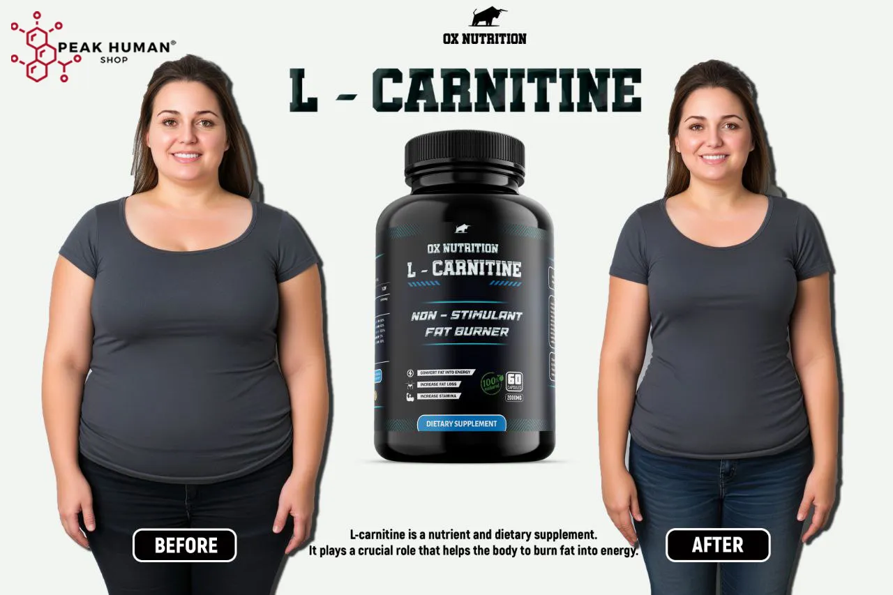 Ox Nutrition L-Carnitine 2000mg 30caps / 60 caps - Image 5