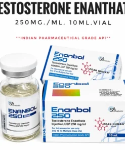 Sa Anabolic  Enanbol 250 Testosterone Enanthate 250mg./ml. 10ml.